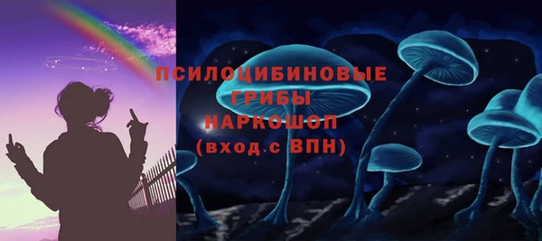 2c-b Богородск