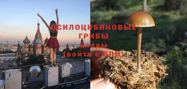 2c-b Богородск