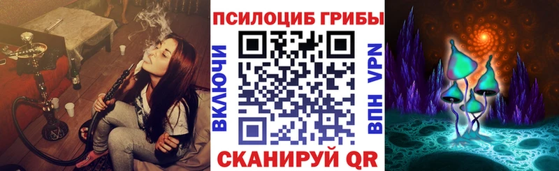 Галлюциногенные грибы Psilocybe Кириши